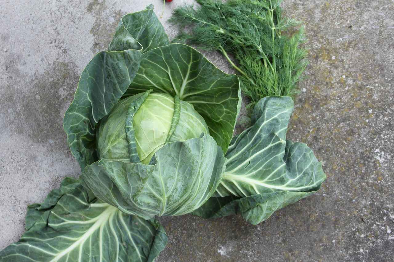 Danimarka’da Yabancı Dil Öğrenmenin Yolları 3 Danimarka'da Pratik Yapma Fırsatları