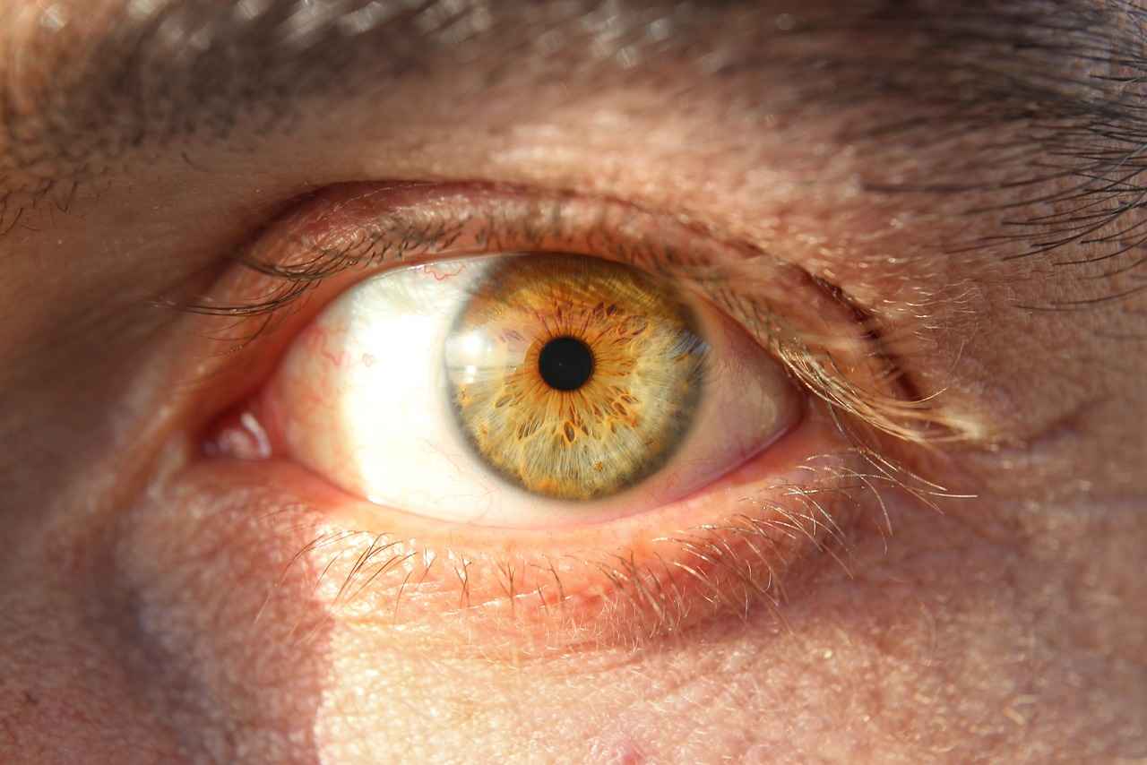 Danimarka’da Yalnız Seyahat: Kapsamlı Bir Rehber 1 Danimarka’nın Kültürel Zenginlikleri