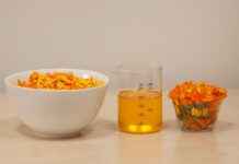 Danimarka’da Yapılacak 5 Macera Dolu Aktivite Danimarka’da Yapılacak 5 Macera Dolu Aktivite