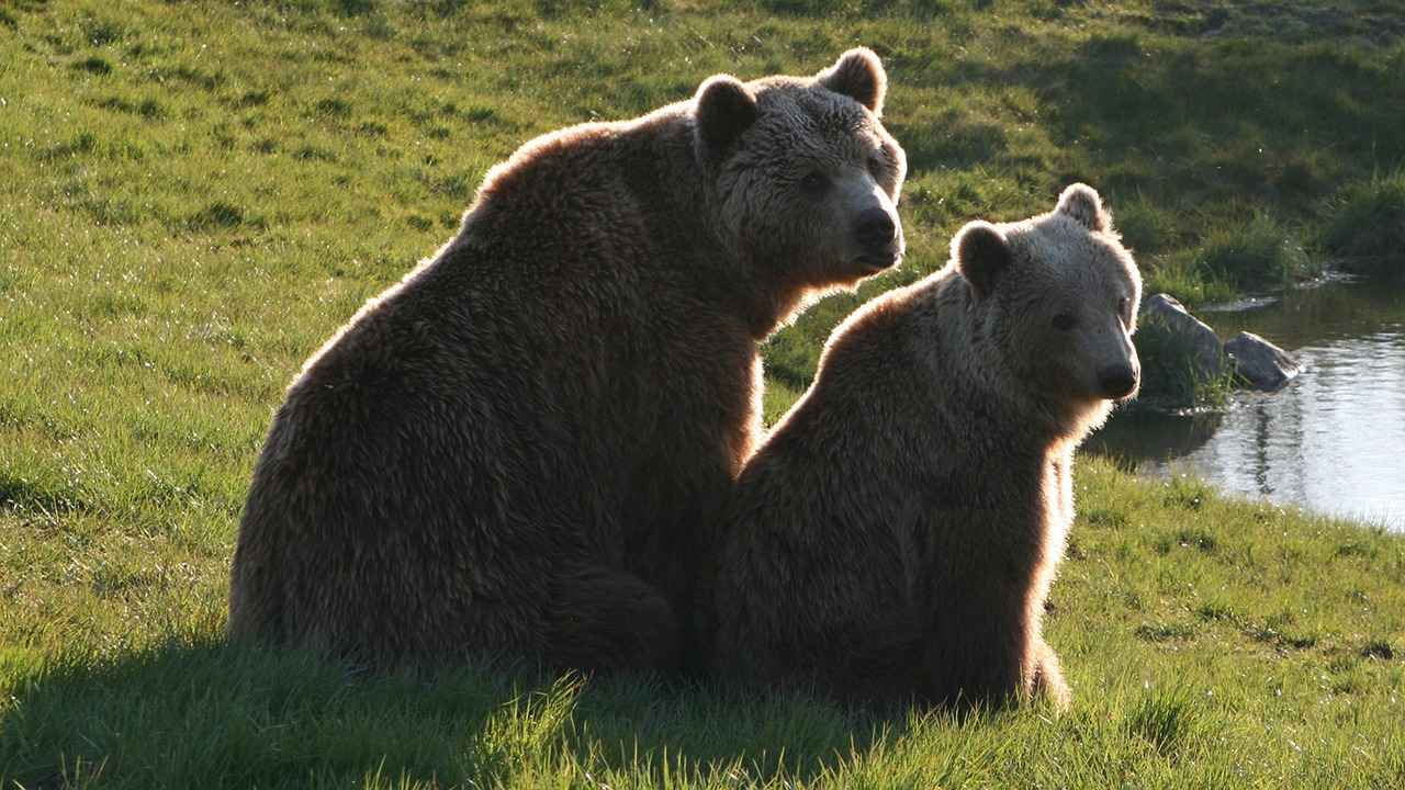 Danimarka’da Yapılacak Klasik Turlar ve Deneyimler 2 Aarhus Kültürel Turu
