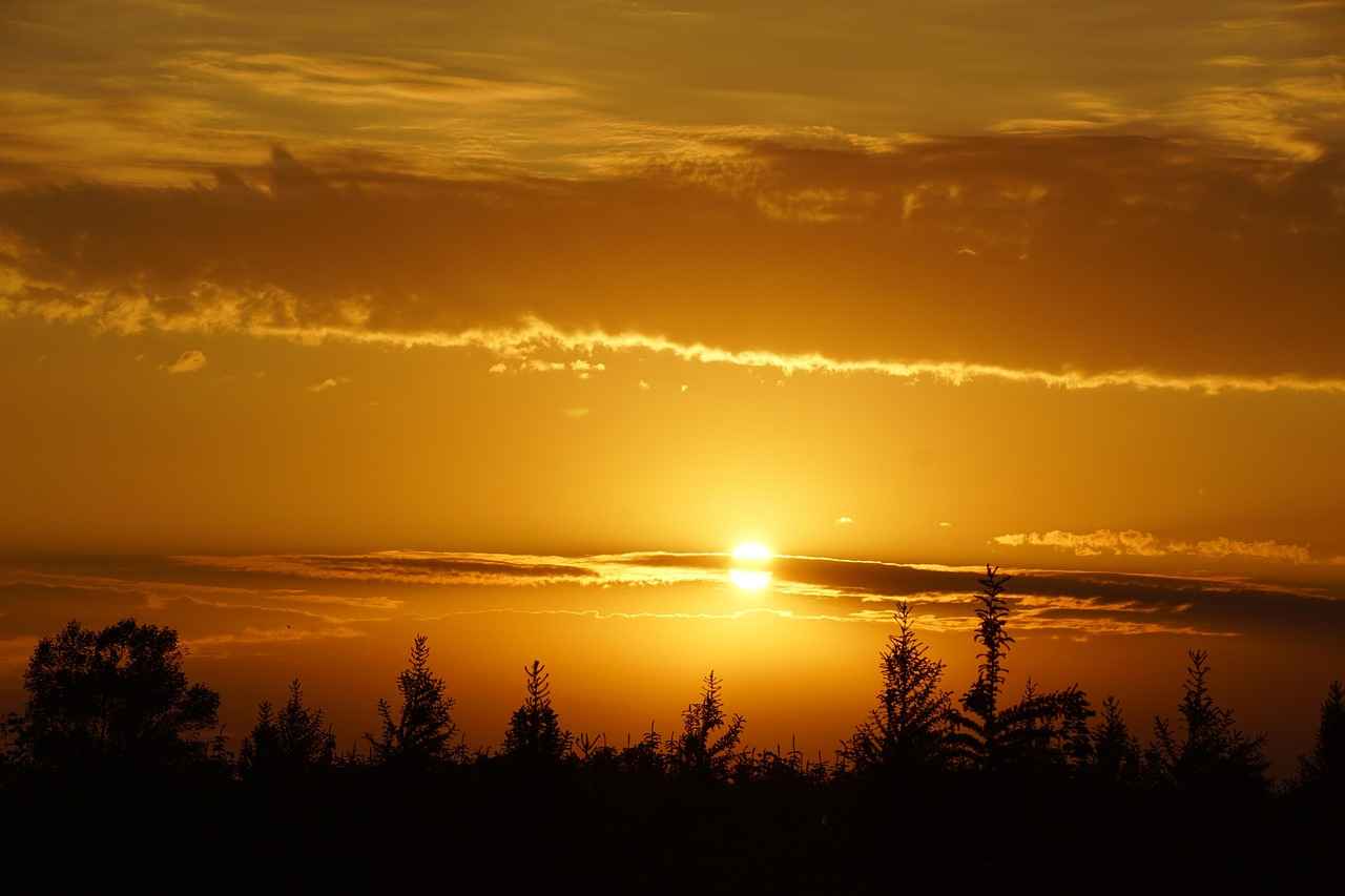 Danimarka’da Yapılacak Klasik Turlar ve Deneyimler 3 Odense'de Yapılacak Turlar