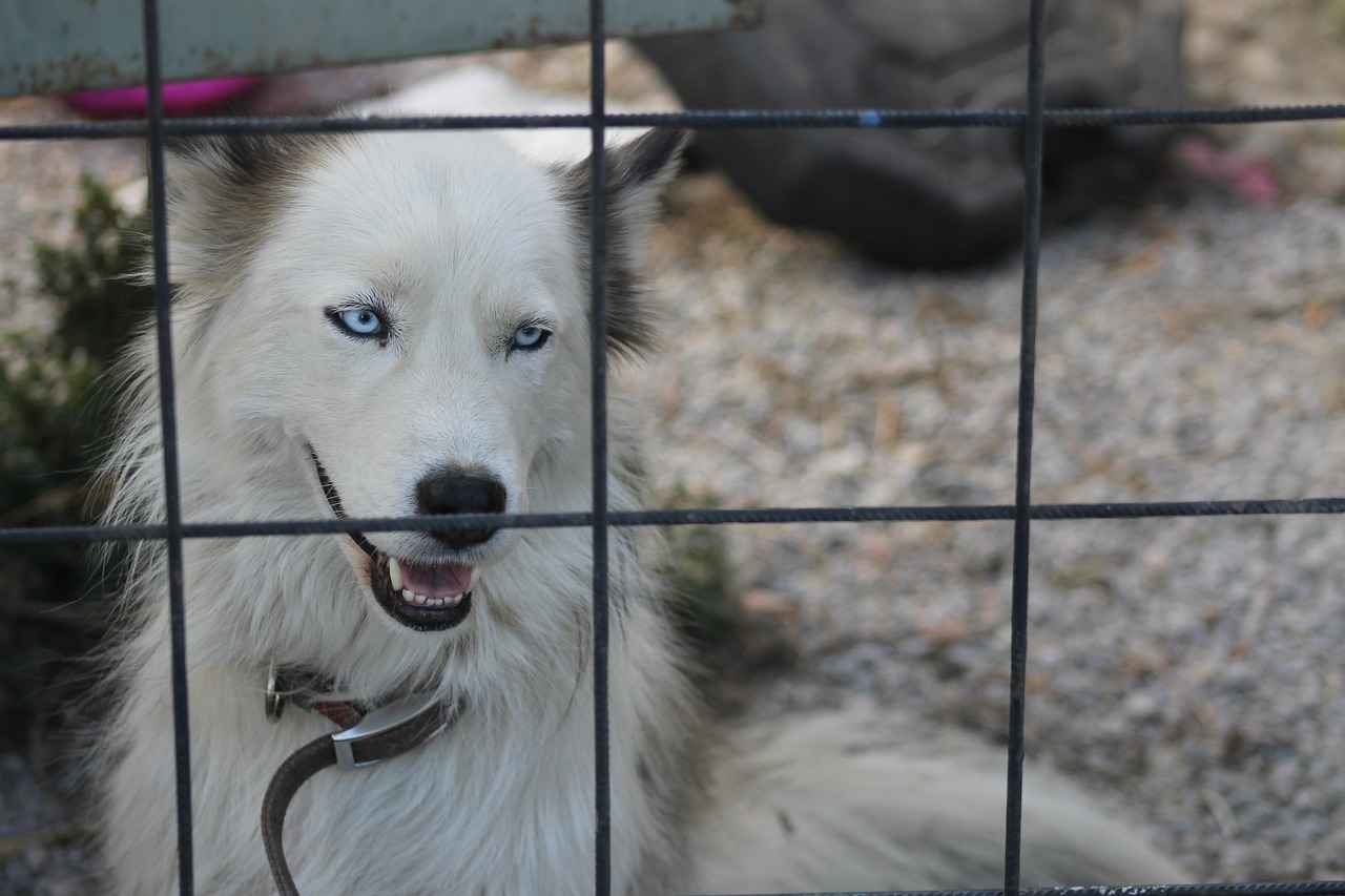 1. Danimarka'nın En İyi Plajları