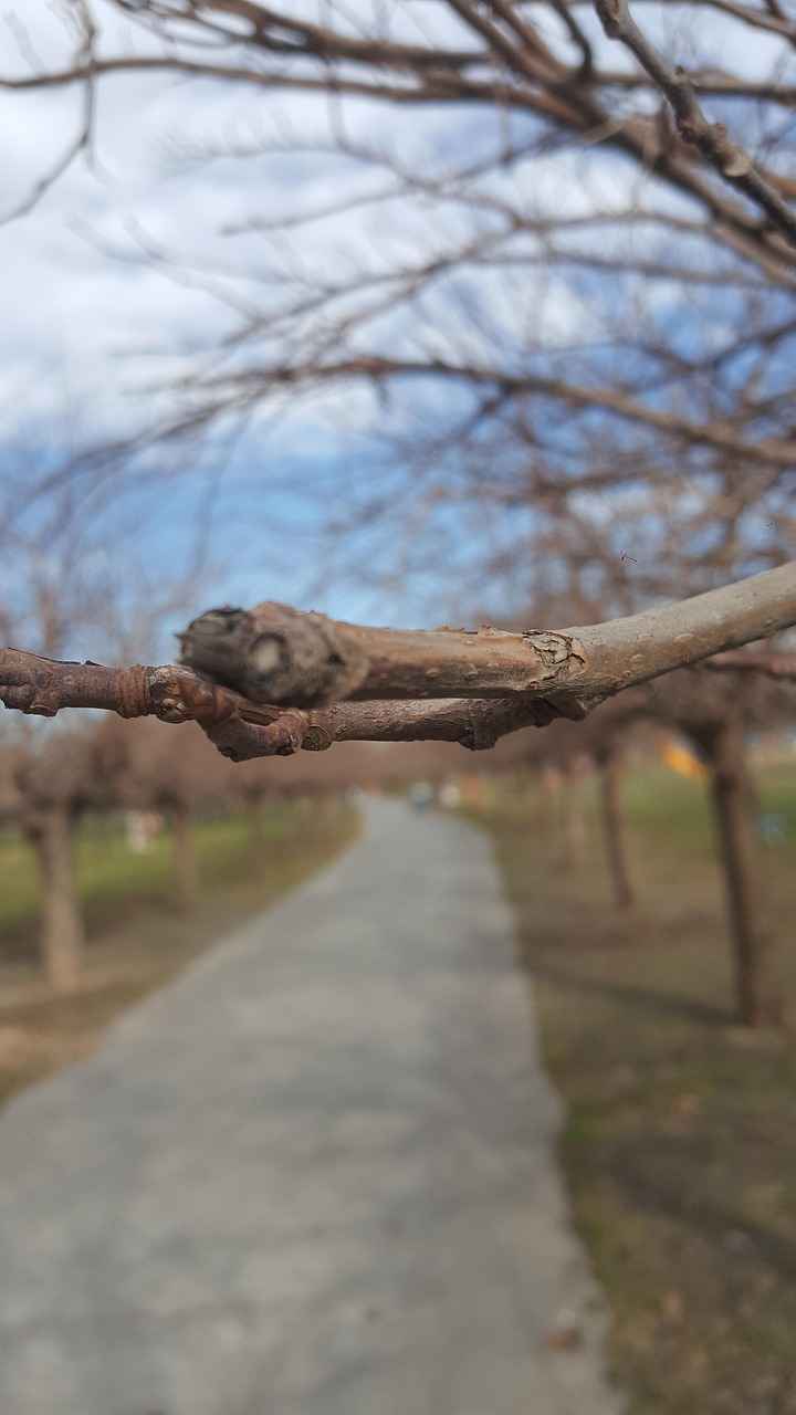 2. Popüler Sahil Kasabaları