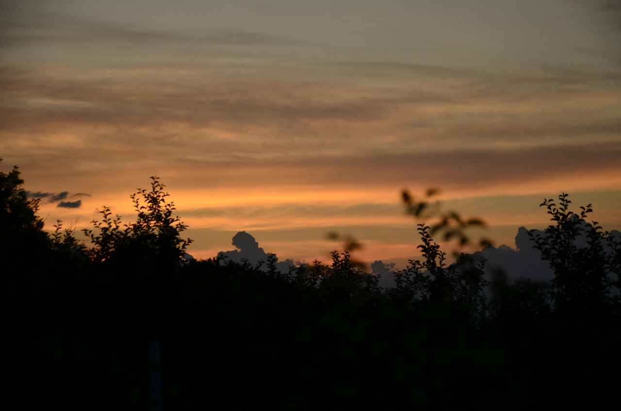 Danimarka’daki Enerji Pazarı ve Ekonomiye Etkisi Danimarka’daki Enerji Pazarı ve Ekonomiye Etkisi