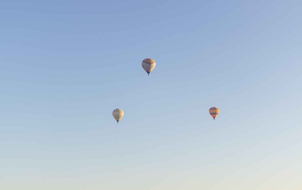 Sonuç ve Gelecek Perspektifleri
