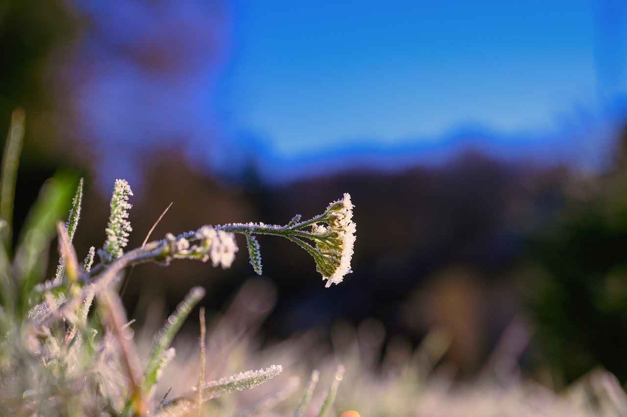 Danimarka’daki Okullarda Uygulanan Eğitim Metodları Danimarka’daki Okullarda Uygulanan Eğitim Metodları