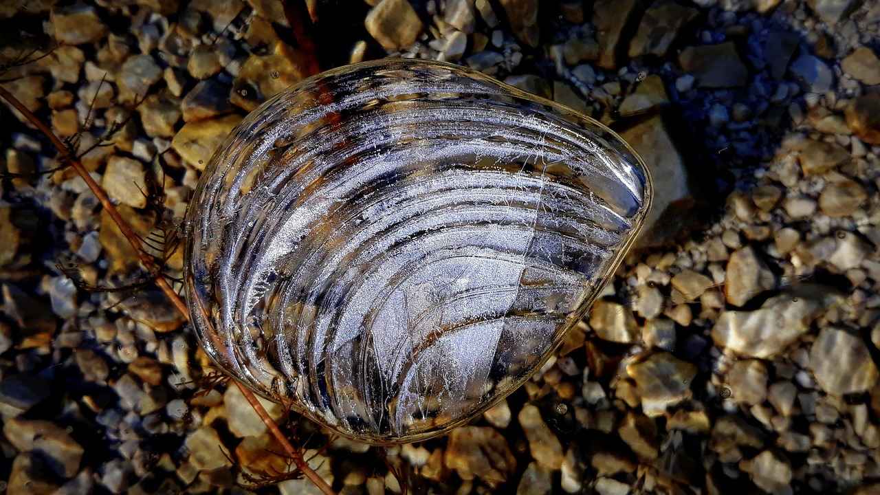 Sonuç: Danimarka Eğitim Sisteminin Geleceği