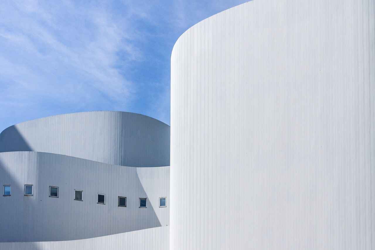 Danimarka'daki Türkler: Eğlence ve Boş Zaman Aktiviteleri 4 Kültürel Festivaller