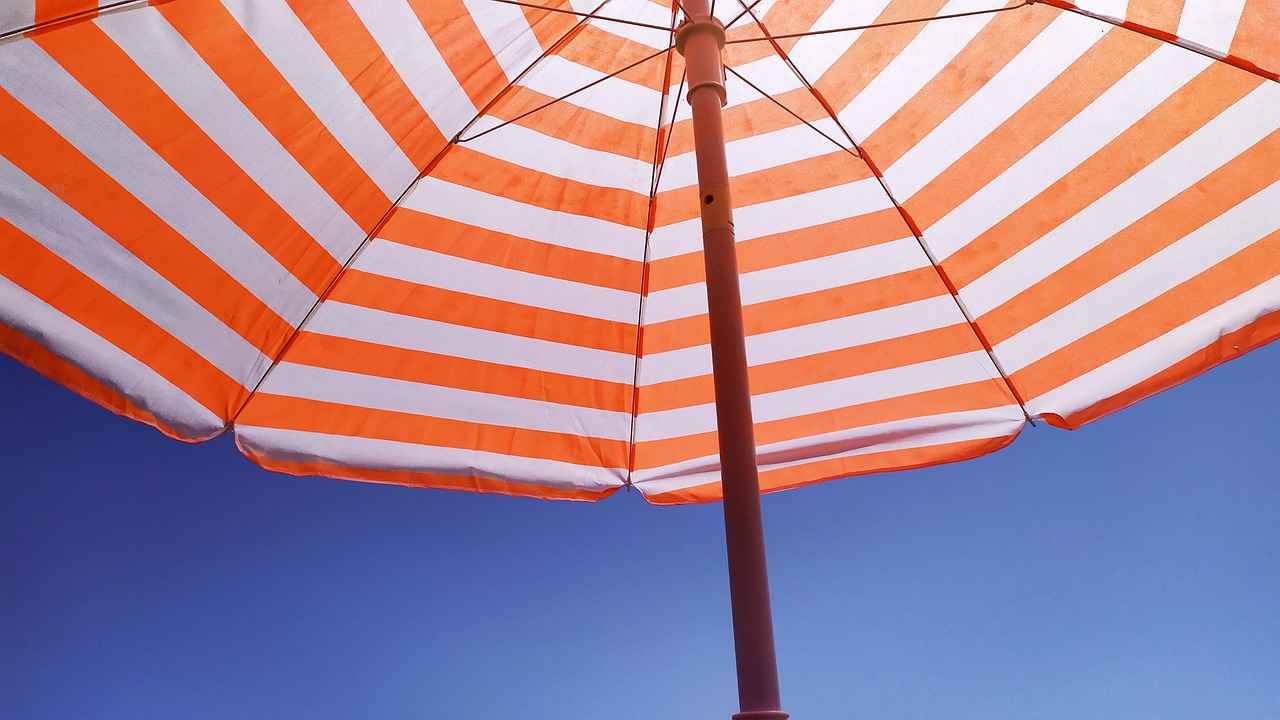 Danimarka'daki Türkler: Göçmen İşçilerin Yaşadığı Zorluklar 5 Sonuç ve Gelecek Perspektifleri