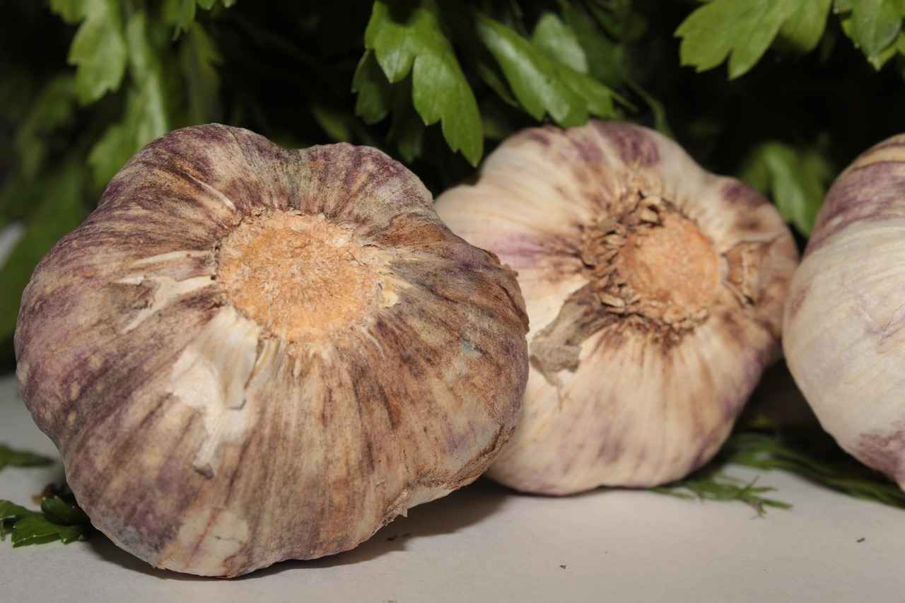 Danimarka’daki Türkler İçin Dil Öğrenme İpuçları 5 Sonuç ve Öneriler