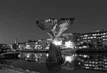 Danimarka’daki Türkler İçin Uygulamalı İş ve Kariyer Rehberi Danimarka’daki Türkler İçin Uygulamalı İş ve Kariyer Rehberi