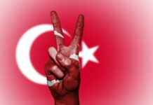 Danimarka’daki Türklerin Sosyal ve Kültürel Etkinliklere Katılımı Danimarka’daki Türklerin Sosyal ve Kültürel Etkinliklere Katılımı