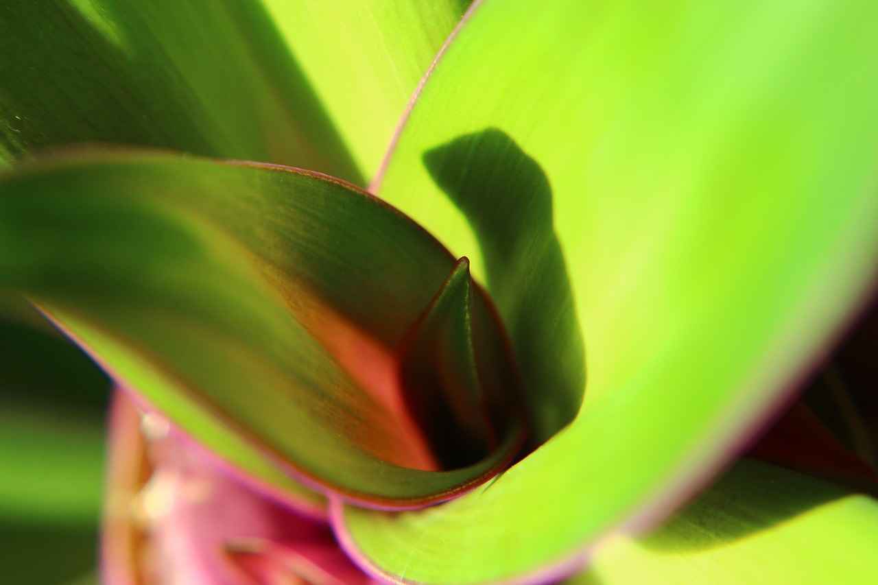 Yeşil Enerji Sektöründeki Gelişmeler