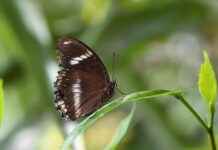 Danimarka’nın En İyi Festivalleri: Seyahatinizi Zenginleştirecek Etkinlikler Danimarka’nın En İyi Festivalleri: Seyahatinizi Zenginleştirecek Etkinlikler