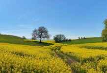 Danimarka’nın En İyi Müzeleri: Kültür Turizmi Sevenler İçin Rehber Danimarka’nın En İyi Müzeleri: Kültür Turizmi Sevenler İçin Rehber