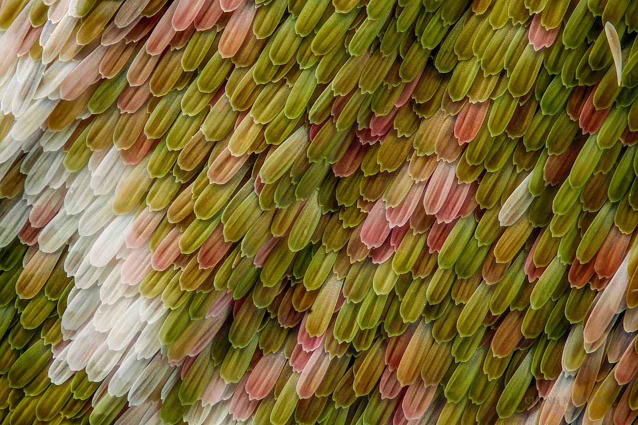 3. Aileler İçin Uygun Konaklama Seçenekleri