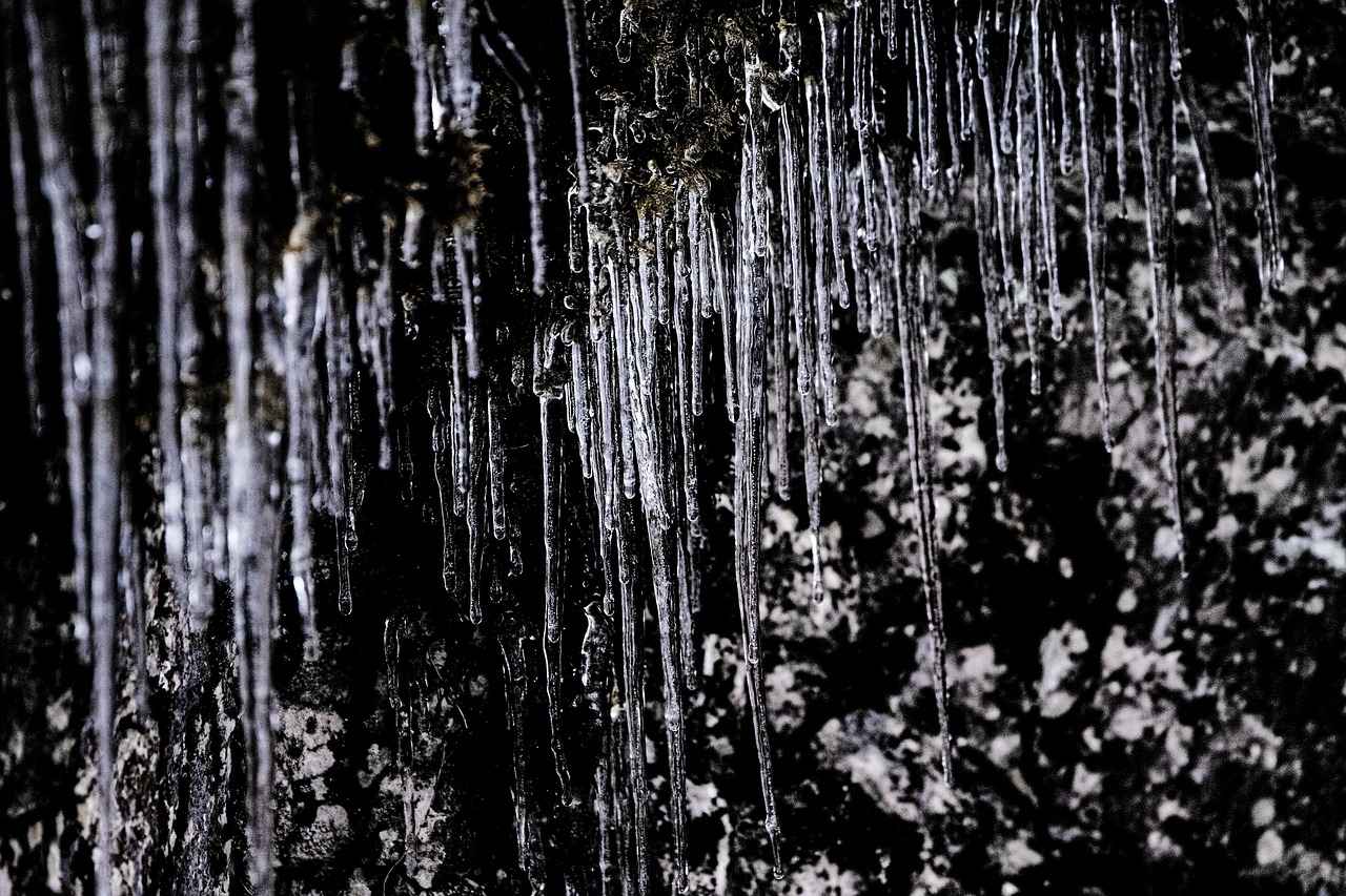 3. Ulaşım Seçenekleri