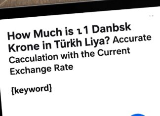 1 Danimarka Kronu Kaç TL? Güncel Kur ile Doğru Hesaplama