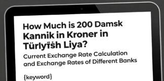 200 Danimarka Kronu Kaç TL? Güncel Dönüşüm Hesaplama ve Farklı Bankaların Kurları