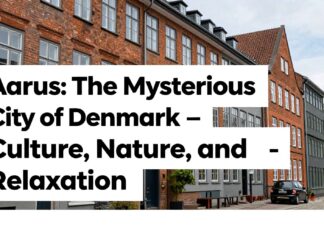 Danimarka’nın Gizemli Şehri Aarhus: Kültür, Doğa ve Dinlenme Keyfi