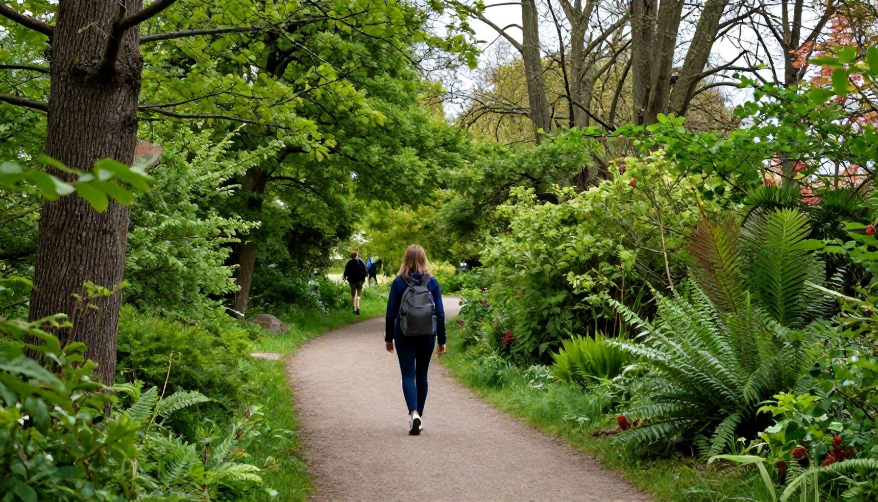 Aarhus'ta Doğa ile Buluşmak: 3 En Popüler Yürüyüş Rotası ve Gizli Bahçeler*