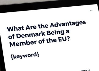 Danimarka AB Üyesi Olma Avantajları Nelerdir?