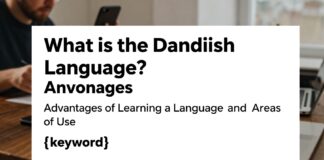 Danimarka Dili Nedir? Dil Öğrenme Avantajları ve Kullanım Alanları