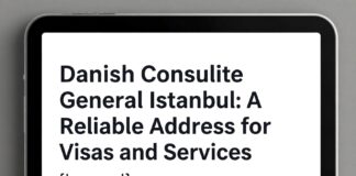 Danimarka Konsolosluğu İstanbul: Vize ve Hizmetler için Güvenilir Adres