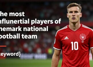 Danimarka millî futbol takımının en etkili oyuncuları