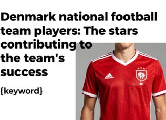 Danimarka millî futbol takımı oyuncuları: Takımın başarılarına katkıda bulunan yıldızlar