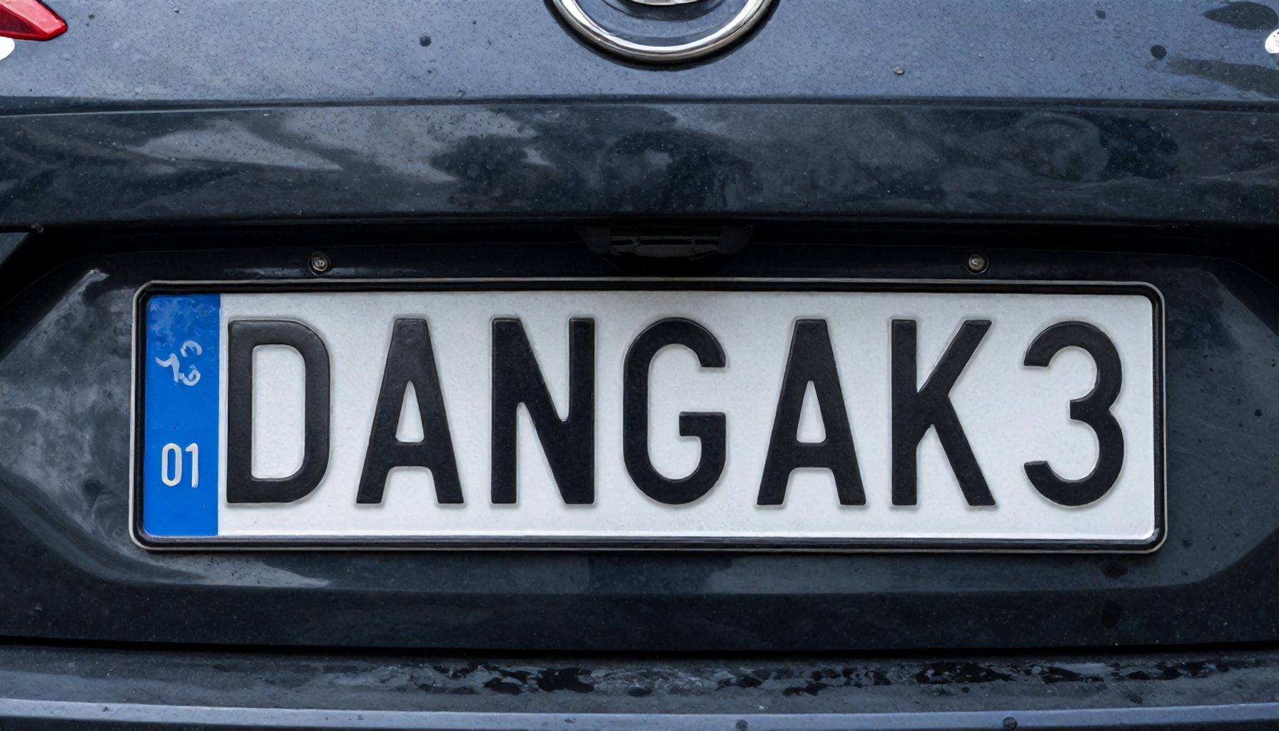 Danimarka Plaka Kodu ile Uluslararası Trafikte Nasıl Güvenlik Kazandırırsınız?*