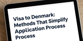 Danimarka’ya Vize Kaldı: Uygulamayı Kolaylaştıran Yöntemler