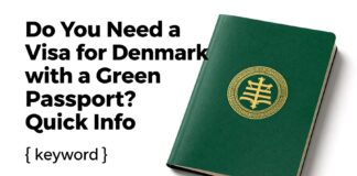 Danimarka’ya Yeşil Pasaport ile Vize Gerekli mi? Hızlı Bilgi