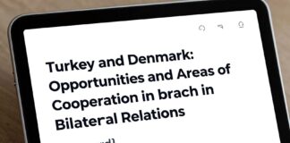 Türkiye ve Danimarka: İkili İlişkilerde Fırsatlar ve İşbirliği Alanları