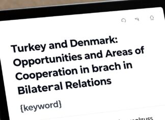 Türkiye ve Danimarka: İkili İlişkilerde Fırsatlar ve İşbirliği Alanları