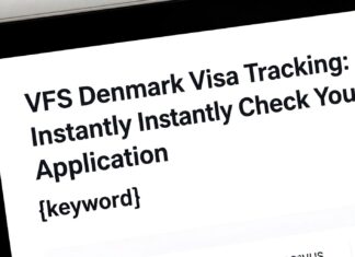 VFS Danimarka Vize Takip: Başvurunuzu Anında Kontrol Edin