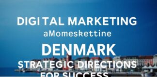 Dijital Pazarlama ve Danimarka: Başarı İçin Stratejik Yönler Digital Marketing and Denmark: Strategic Directions for Success