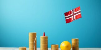 Dijital Pazarlama ve SEO: Danimarka Pazarına Giriş Digital Marketing and SEO: Entering the Danish Market