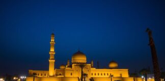 Mısır’ın Sabahın İlk Işıkları: Pazarlama İçin Kültürel Zenginlik Egypt's Dawn Lights: Cultural Wealth for Marketing